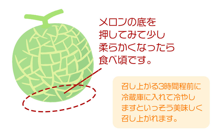 【令和8年産先行予約】 アンデスメロン 秀品 約5kg (3～5玉) 山形県鶴岡市産　株式会社 元青果