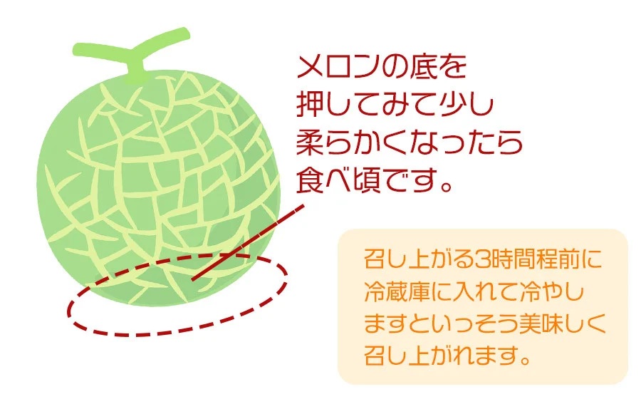 【令和8年産先行予約】 庄内砂丘青肉・赤肉メロン食べくらべ　 各1玉 (計2玉) 約2.5kg 山形県鶴岡市産　株式会社 元青果