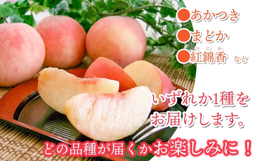 【令和8年産先行予約】 桃 品種おまかせ 5kg(15玉～18玉) 山形県鶴岡市産　株式会社 元青果
