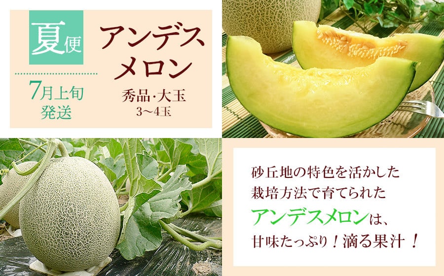 【令和8年産先行予約】 鶴岡から春夏秋のフルーツ定期便【3回お届け】山形県鶴岡産　株式会社 元青果