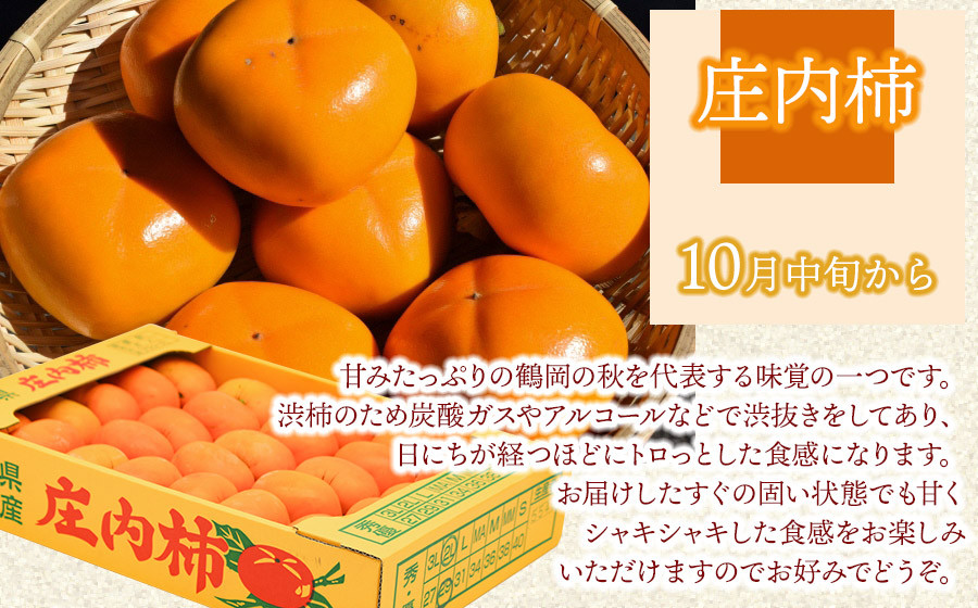 【令和8年産 先行予約】鶴岡の秋のフルーツ満喫便【3回お届け】白桃・和梨・庄内柿　山形県鶴岡産　株式会社　元青果
