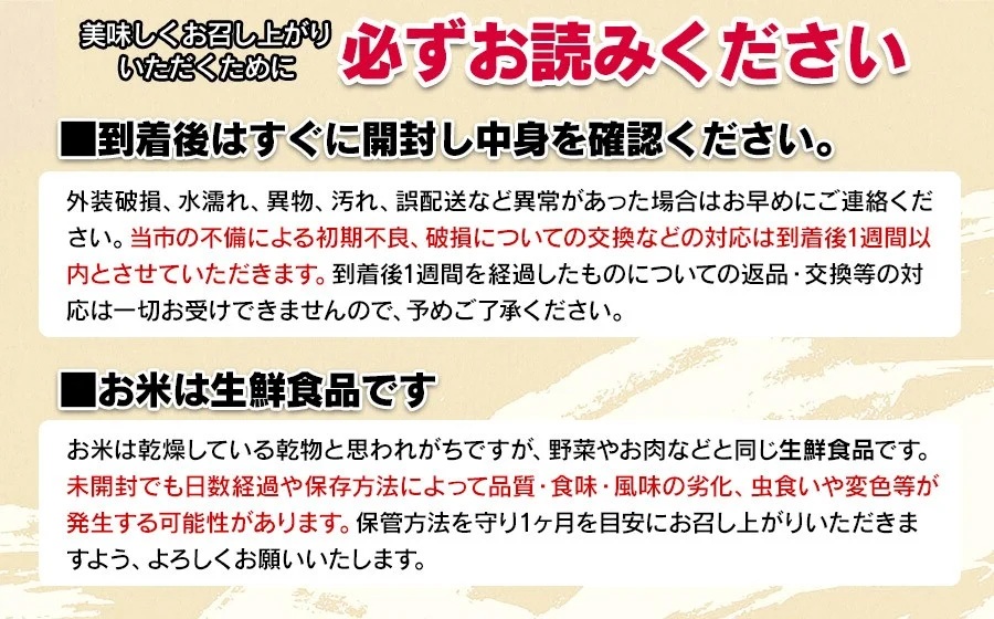 【令和8年産先行予約】 シャインマスカット 2房 約1.2kg　山形県鶴岡市産　長南農園