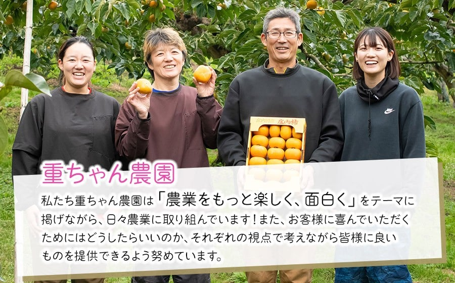 【令和8年産先行予約】家庭用　庄内柿（ひらたねなし柿）約5kg（28～36玉） 山形県鶴岡市産　重ちゃん農園