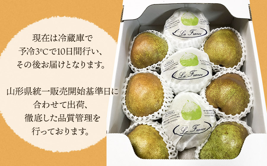 【令和8年産先行予約】安野農園のこだわりラ・フランス 3kg（5～9玉） 化粧箱入り 山形県鶴岡産　安野農園