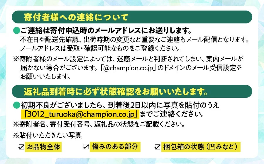 【令和8年産先行予約】鶴岡市産りんご ふじ 約2.5kg（7～9玉）　インフィニファーム　K-828