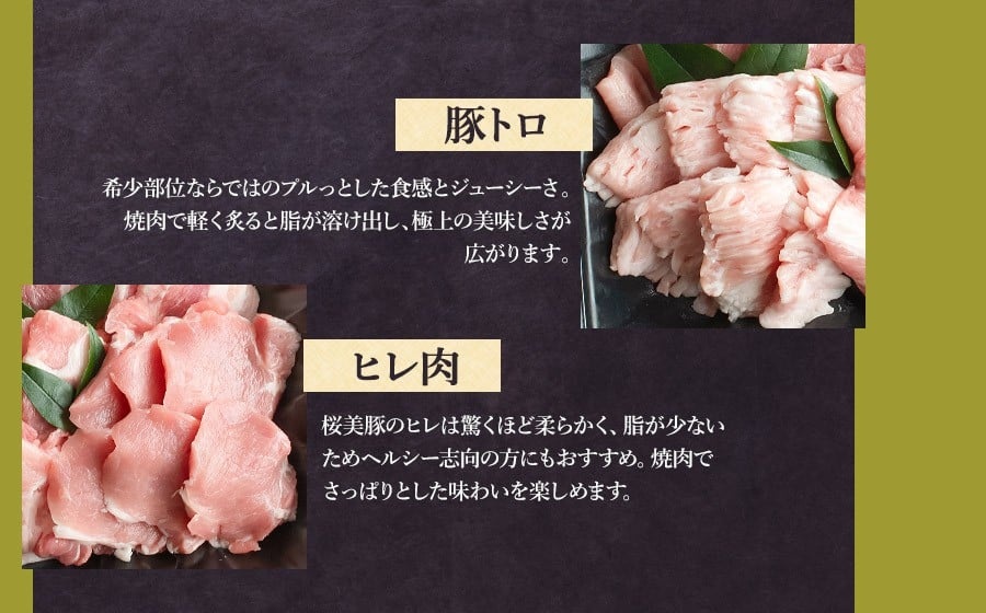 鶴岡産三元豚「桜美豚」焼肉用セット（ロース・肩ロース・バラ・豚トロ・ヒレ）約750g（2～3人前）　K-736　豚肉　長南牛肉店
