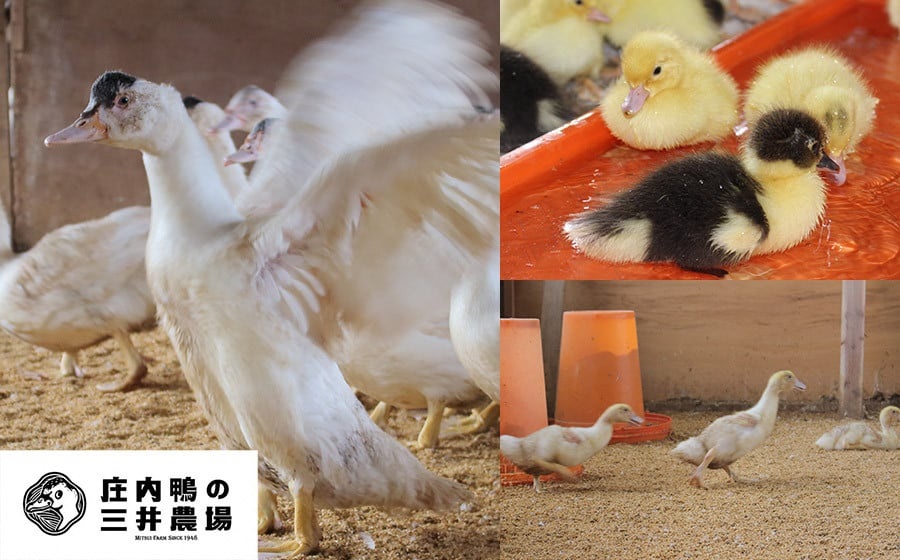 庄内鴨骨付きモモ肉　約800g（約400g×2パック）　三井農場