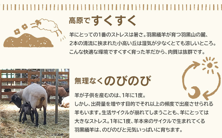【令和7年産先行予約】羽黒緬羊ヒレ1本（約200g）と焼肉用スライス（300g） 肉バルYAKU禄