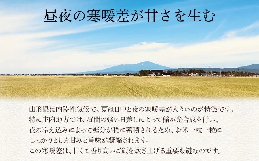 令和7年産　雪若丸 精米 5kg×1袋　庄内観光物産館