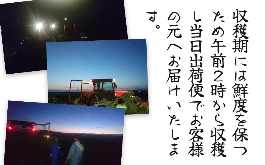【令和8年産先行予約】”元祖”森屋藤十郎の白山産だだちゃ豆「白山(本豆)」　1kg（500g×2袋）鶴岡特産 K-831
