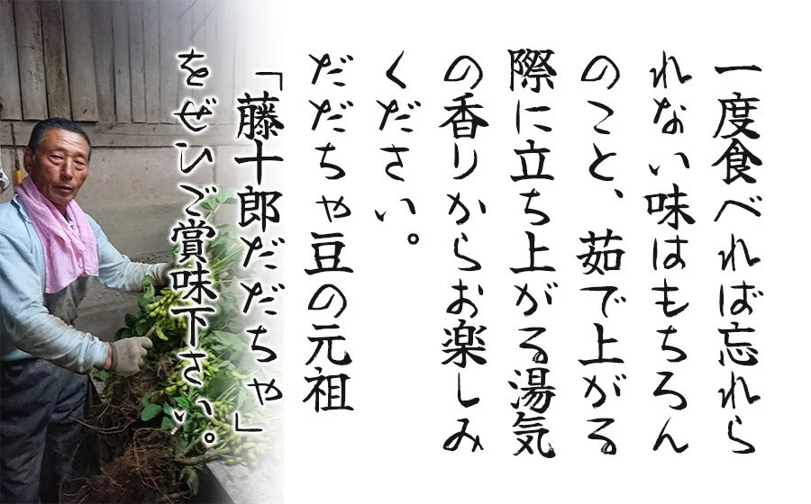 【令和8年産先行予約】”元祖”森屋藤十郎の白山産だだちゃ豆 お楽しみ定期便3回「早生・白山(本豆)・晩生」各1kg（500g×2袋） 鶴岡特産　K-831