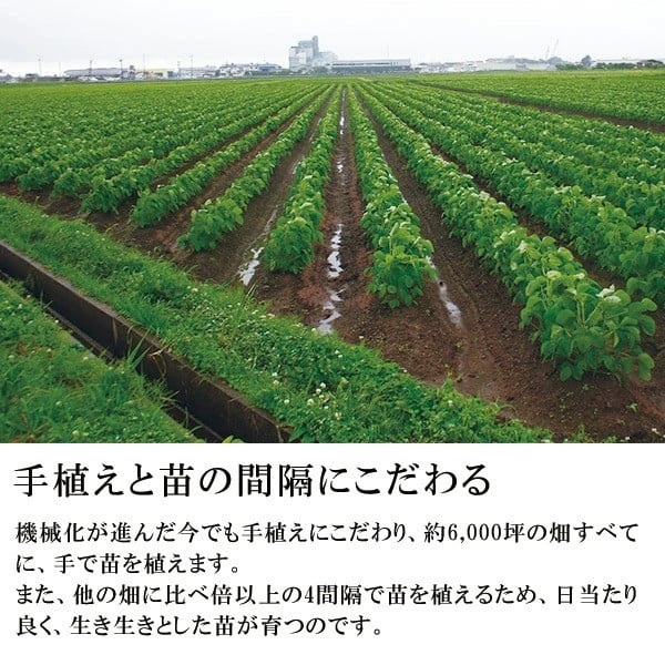 【令和7年産】甚兵衛 白山だだちゃ豆（木箱入）1kg 【本豆】  株式会社 清川屋