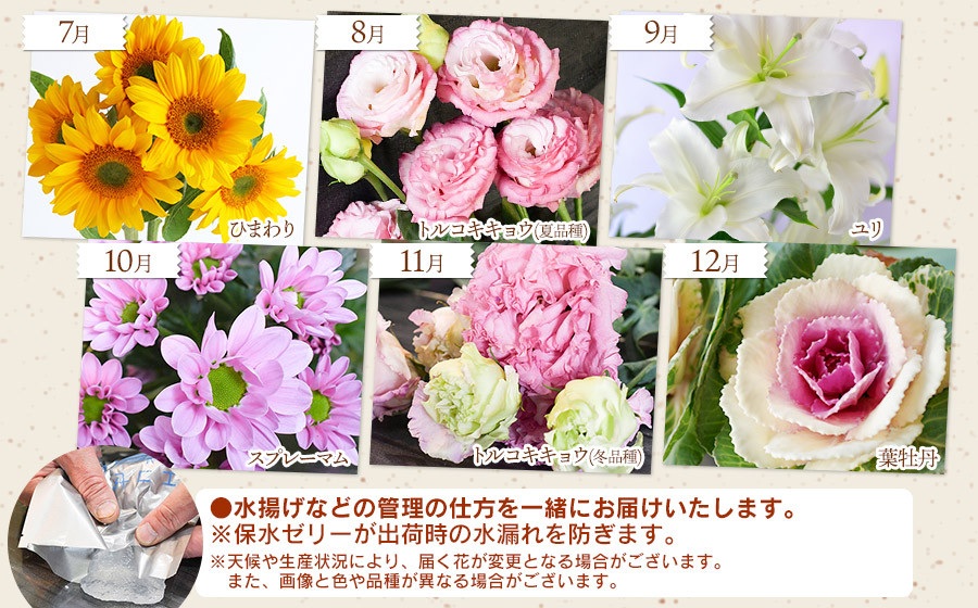 鶴岡産　切花の定期便12ヶ月 Bコース　花蔵（HANAZO）　K-733