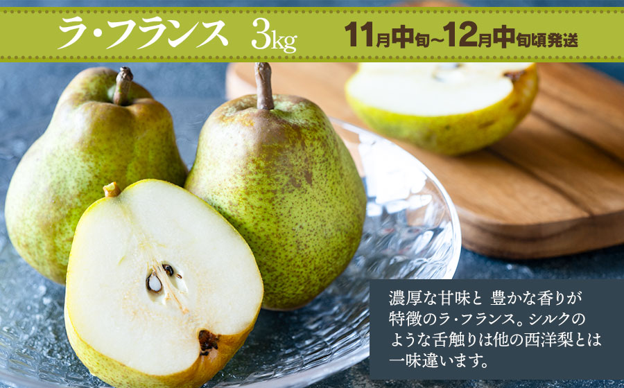 【令和8年産先行予約】【3回お届け】鶴岡産果物定期便　庄内砂丘メロン（赤肉・青肉各1玉）＆ 桃 約2kg ＆ ラ・フランス 約3kg　泉屋商店