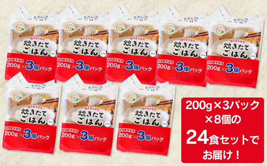 炊きたてごはん パックライス たっぷり 200g × 24食セット