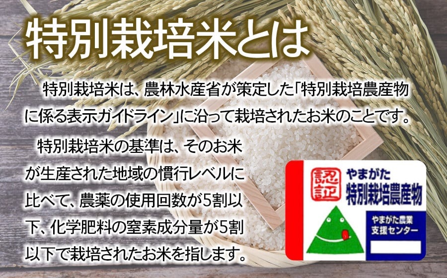 【令和7年産】【新米】 特別栽培米はえぬき　無洗米 5kg　(5kg×1袋)　山形県鶴岡産　鶴岡協同ファーム