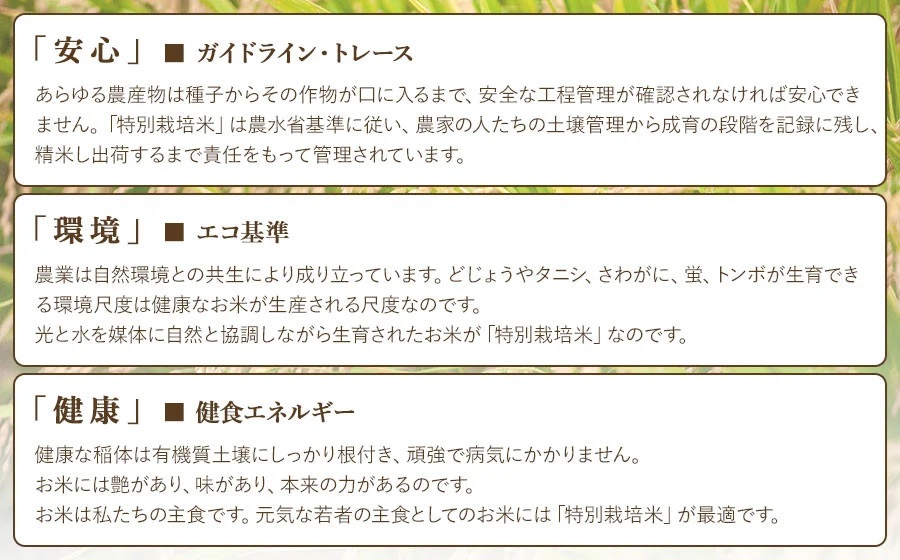 【令和7年産】【新米】 米の里の特別栽培米 つや姫 精米 6kg(2kg×3袋)　山形県鶴岡市産　K-763