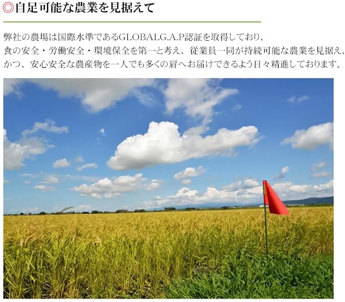 JAS有機栽培米 コシヒカリ おやじの米　玄米パックご飯 150g×18個入り  山形県鶴岡産　鈴木農産企画