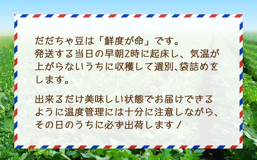 【令和8年産先行予約】朝採りだだちゃ豆 【早生】1.5kg (500g×3袋) 枝豆　小池半左衛門