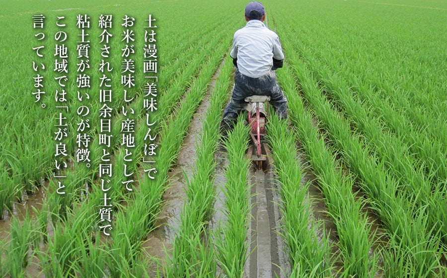 【令和7年産】 特別栽培米 つや姫（タニシ米）精米10kg（5kg×2袋）　山形県鶴岡産　アベ・アグリ米