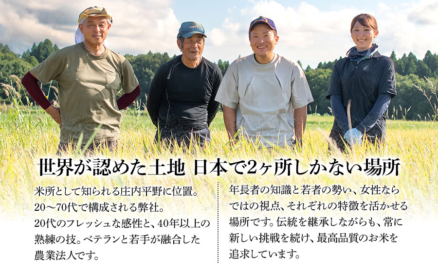 【第4回 鶴岡ごはん日本一最優秀賞受賞！】令和7年産　庄内おばこ農場の特別栽培米 つや姫 精米 10kg (10kg×1袋)　K-7120