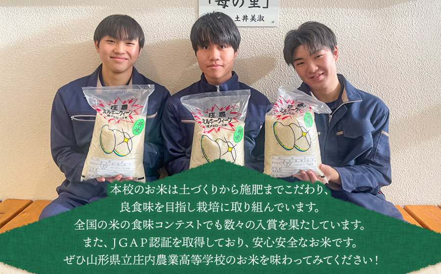 【令和7年産】 山形県立庄内農業高等学校の生徒が栽培したミルキークイーン 精米3kg　山形県鶴岡市