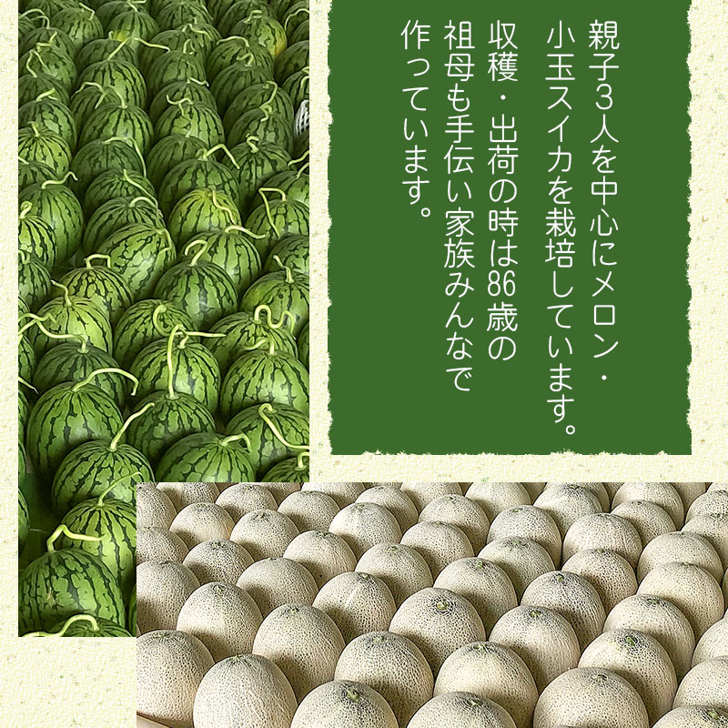 【令和6年産先行予約】 秋どりアンデスメロン 約5kg（3～4玉入） 山形県鶴岡市産 庄内砂丘メロン　小林ファーム