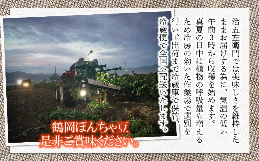 【令和8年産先行予約】 山形セレクション認定！15代目「治五左衛門」の新枝豆「つるおか・ぼんちゃ豆」1.35kg(450g×3袋)  7月中旬～下旬