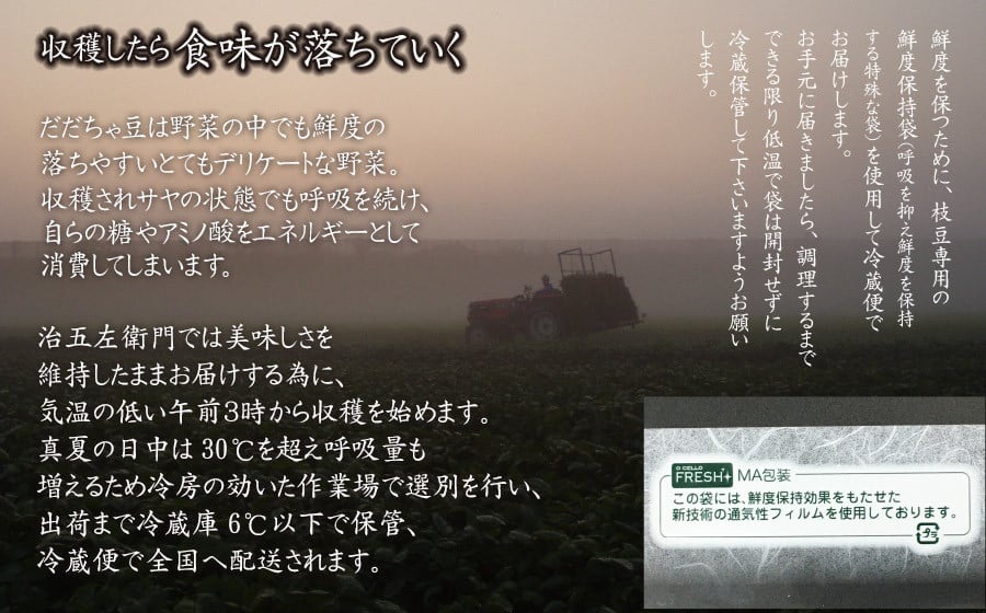 【令和8年産先行予約】 山形セレクション認定！15代目「治五左衛門」の新鮮だだちゃ豆 (白山だだちゃ豆) 1.35kg(450g×3袋)　 8月中旬～9月上旬