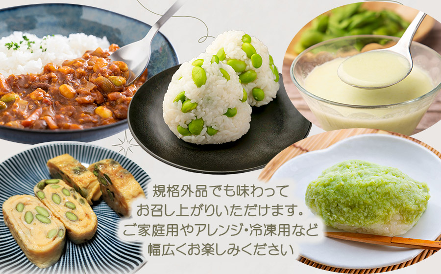 【令和8年産先行予約】【訳あり】白山だだちゃ豆　1kg（1kg × 1袋）　長五郎