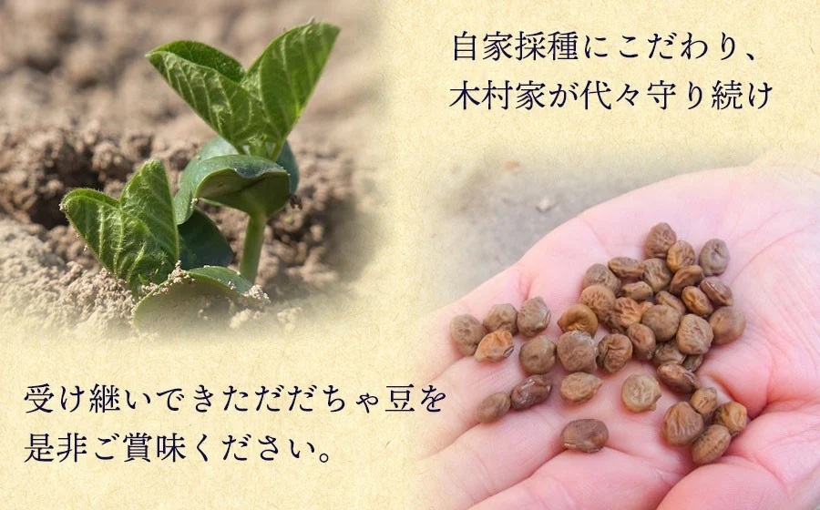 【令和8年産先行予約】 木村九八郎の朝採り！新鮮！だだちゃ豆 「本豆」 1kg（500ｇ×2袋） 山形県鶴岡市産　K-829