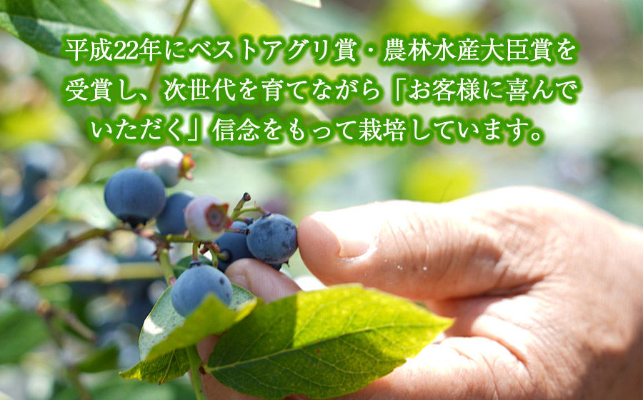 月山高原鈴木農園のブルーベリージャム　4個セット　有機栽培　K-634