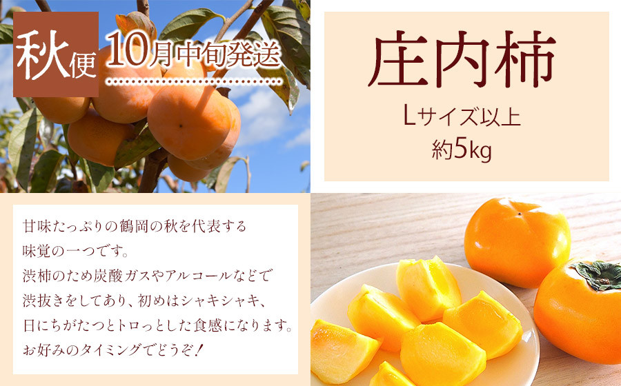 【令和8年産先行予約】 鶴岡から春夏秋のフルーツ定期便【3回お届け】山形県鶴岡産　株式会社 元青果