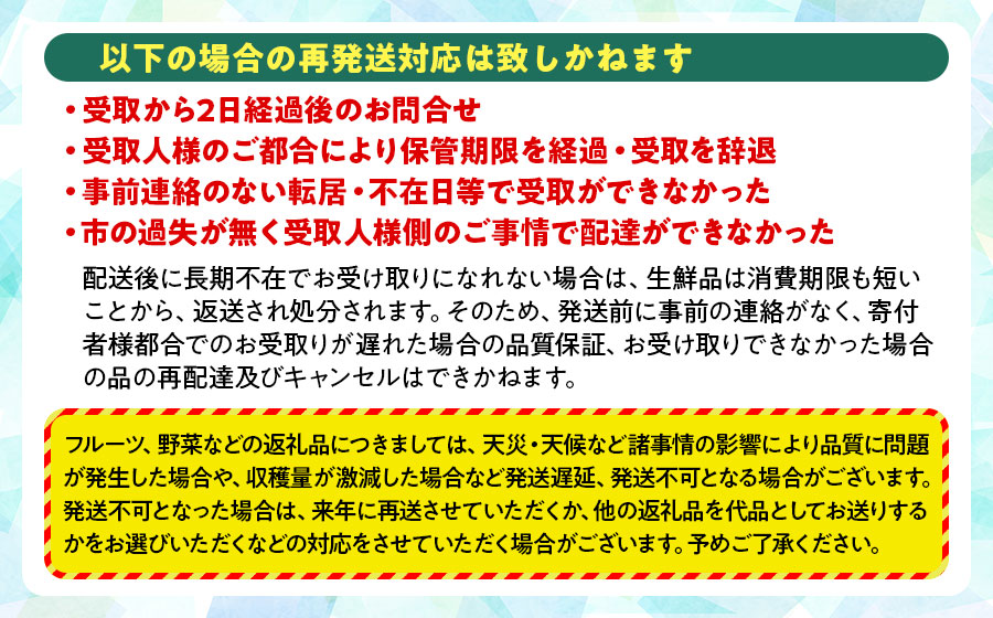 【令和8年産先行予約】シャインマスカット 約1.5kg　丸果庄内青果