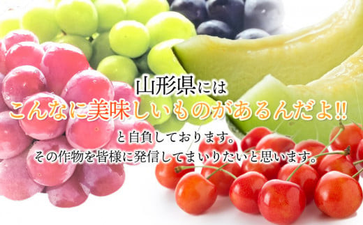 【令和8年産先行予約】 さくらんぼ 紅秀峰 約1kg 山形県庄内産　丸果庄内青果　| サクランボ フルーツ 果物 くだもの 旬 人気 美味しい 大粒 鶴岡市 先行予約 返礼品