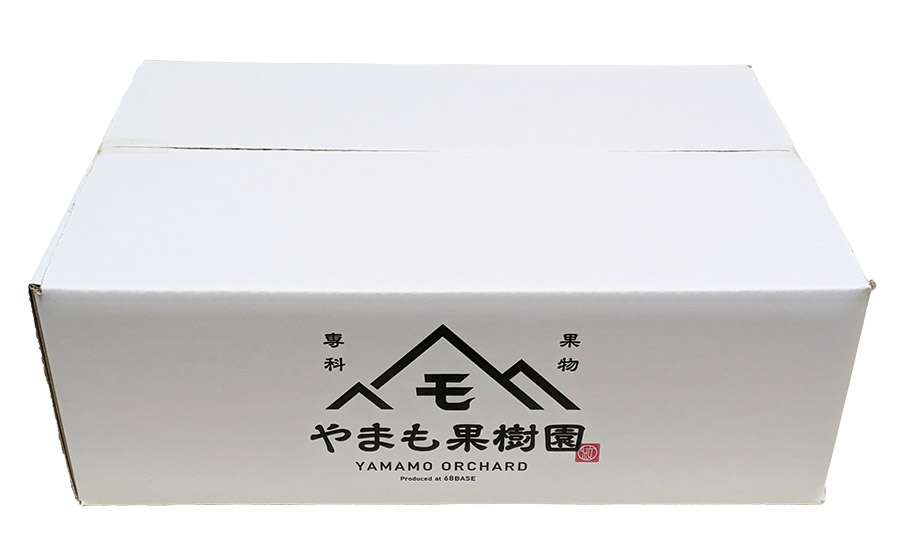 【令和7年産先行予約】洋梨　シルバーベル　約3kg（7～9玉）　やまも果樹園