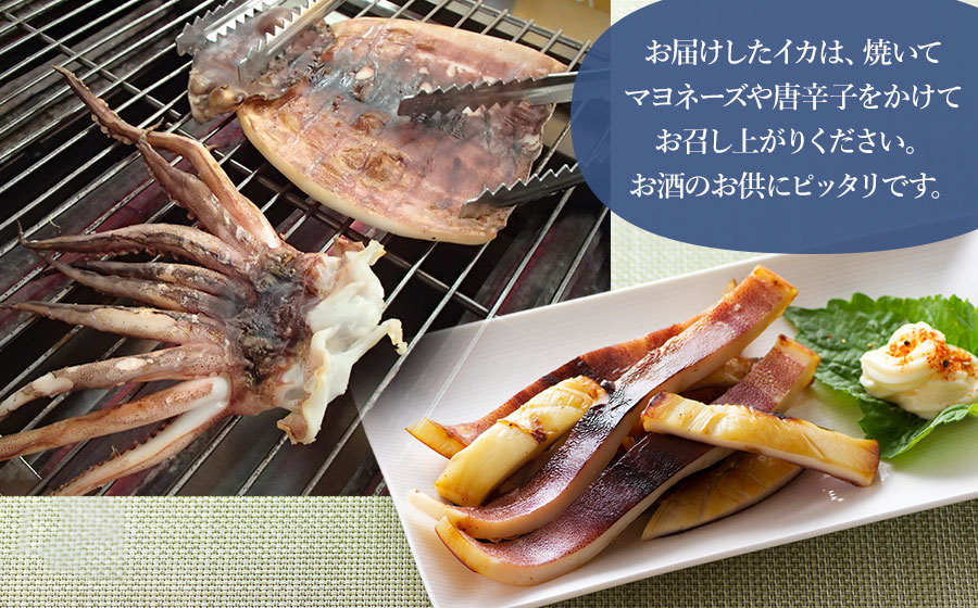 鼠ヶ関名産　いかの一夜干し 4枚セット　鼠ヶ関水産加工生産組合