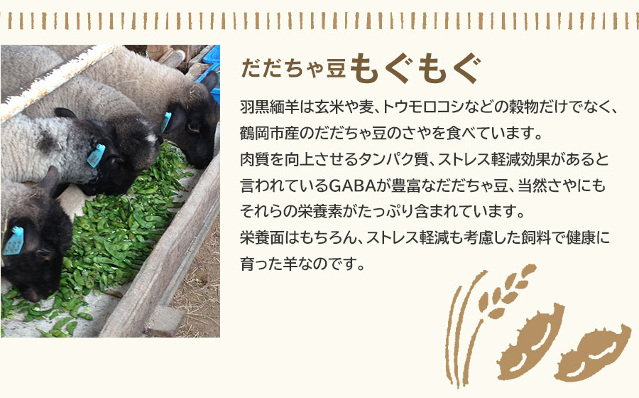 【令和7年産先行予約】羽黒緬羊ヒレ1本（約200g）と焼肉用スライス（300g） 肉バルYAKU禄