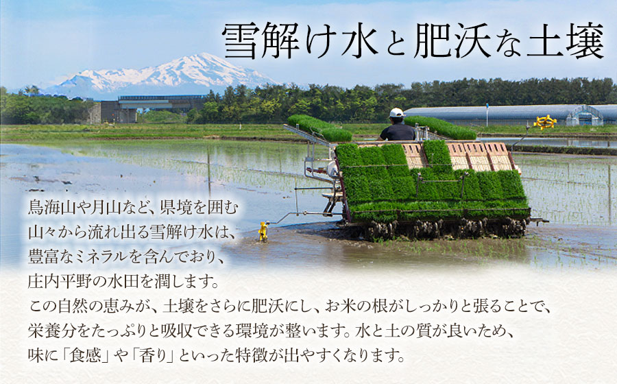 庄内米味わいセット（はえぬき5kg・のっけて食べるあつみかぶ・だだちゃ豆ごはんの素・四合わせ塩）　庄内観光物産館