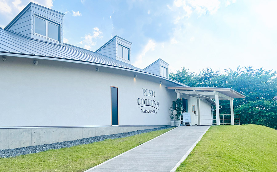 ワイン　「メルロー2023（赤）」「鶴岡甲州2024（白）」750ml×2本入　株式会社エルサン　国産 日本ワイン