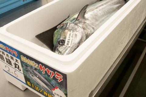 庄内おばこサワラしゃぶしゃぶ