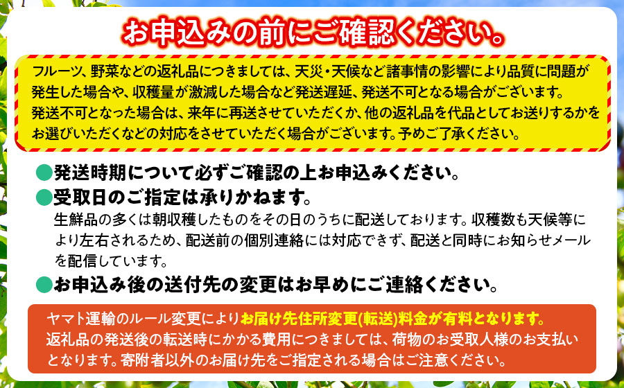 【令和8年産先行予約】だだちゃ豆（早生甘露）　1000g（500g×2袋）　だだちゃ喜左衛門株式会社　枝豆 1kg