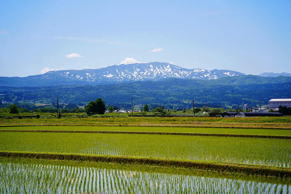 【鶴岡市】JTBふるさと旅行クーポン（Eメール発行）30,000円分