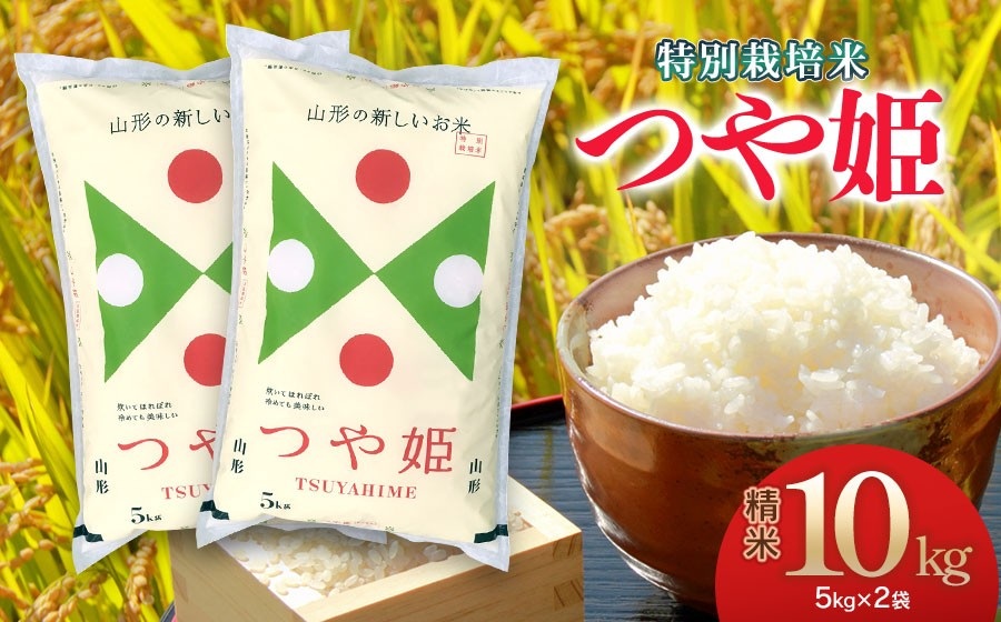 【令和7年産】 特別栽培米 つや姫 精米5kg×2袋 計10kg 山形県 庄内産　米食味鑑定士お薦め