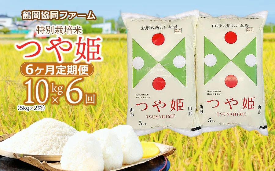 【令和7年産先行予約】特別栽培米つや姫 10kg (5kg×2袋)×6ヶ月【定期便】　鶴岡協同ファーム