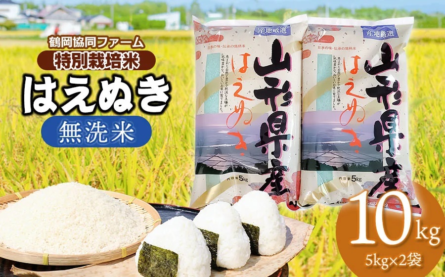 【令和7年産 先行予約】 特別栽培米はえぬき 無洗米 10kg (5kg×2袋) 山形県鶴岡産　鶴岡協同ファーム