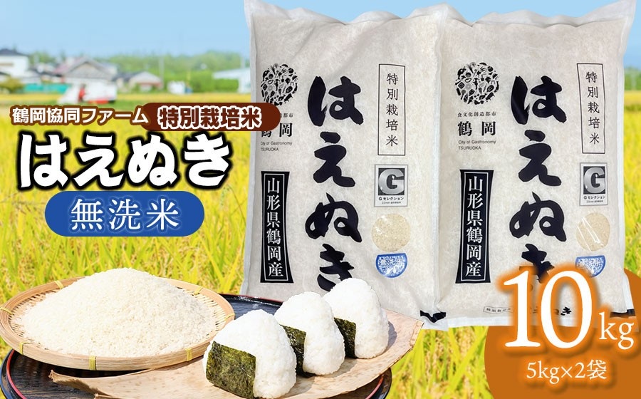 【令和7年産】 特別栽培米はえぬき 無洗米　10kg (5kg×2袋)　山形県鶴岡産　鶴岡協同ファーム