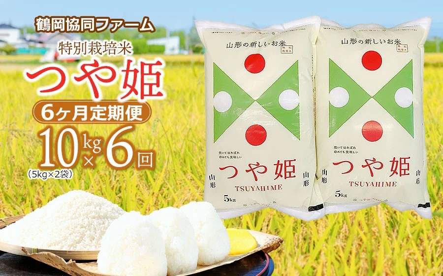 【令和8年産先行予約】特別栽培米つや姫 10kg (5kg×2袋)×6ヶ月【定期便】　鶴岡協同ファーム