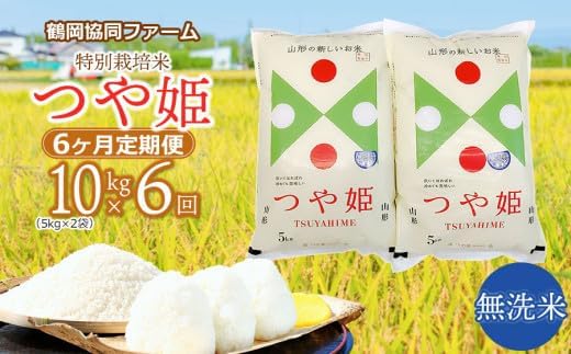 【令和8年産先行予約】特別栽培米つや姫 無洗米 10kg (5kg×2袋)×6ヶ月【定期便】　鶴岡協同ファーム