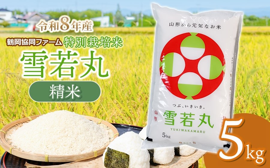 【令和8年産先行予約】 特別栽培米 雪若丸 5kg (5kg×1袋) 山形県鶴岡産　鶴岡協同ファーム